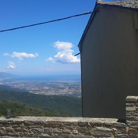 Gite La Fontaine Corse Loreto-di-Casinca Dış mekan fotoğraf
