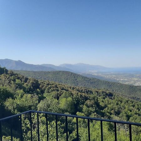 Gite La Fontaine Corse Loreto-di-Casinca Oda fotoğraf