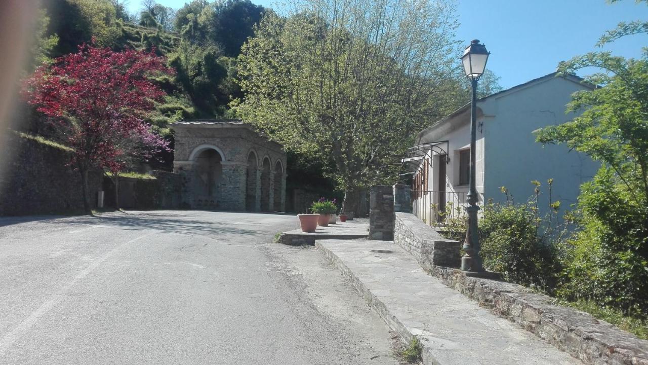 Gite La Fontaine Corse Loreto-di-Casinca Dış mekan fotoğraf