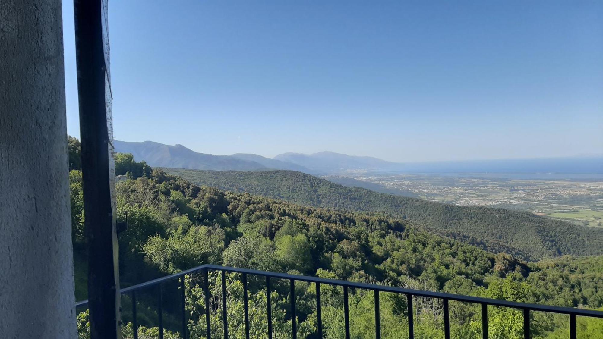 Gite La Fontaine Corse Loreto-di-Casinca Oda fotoğraf