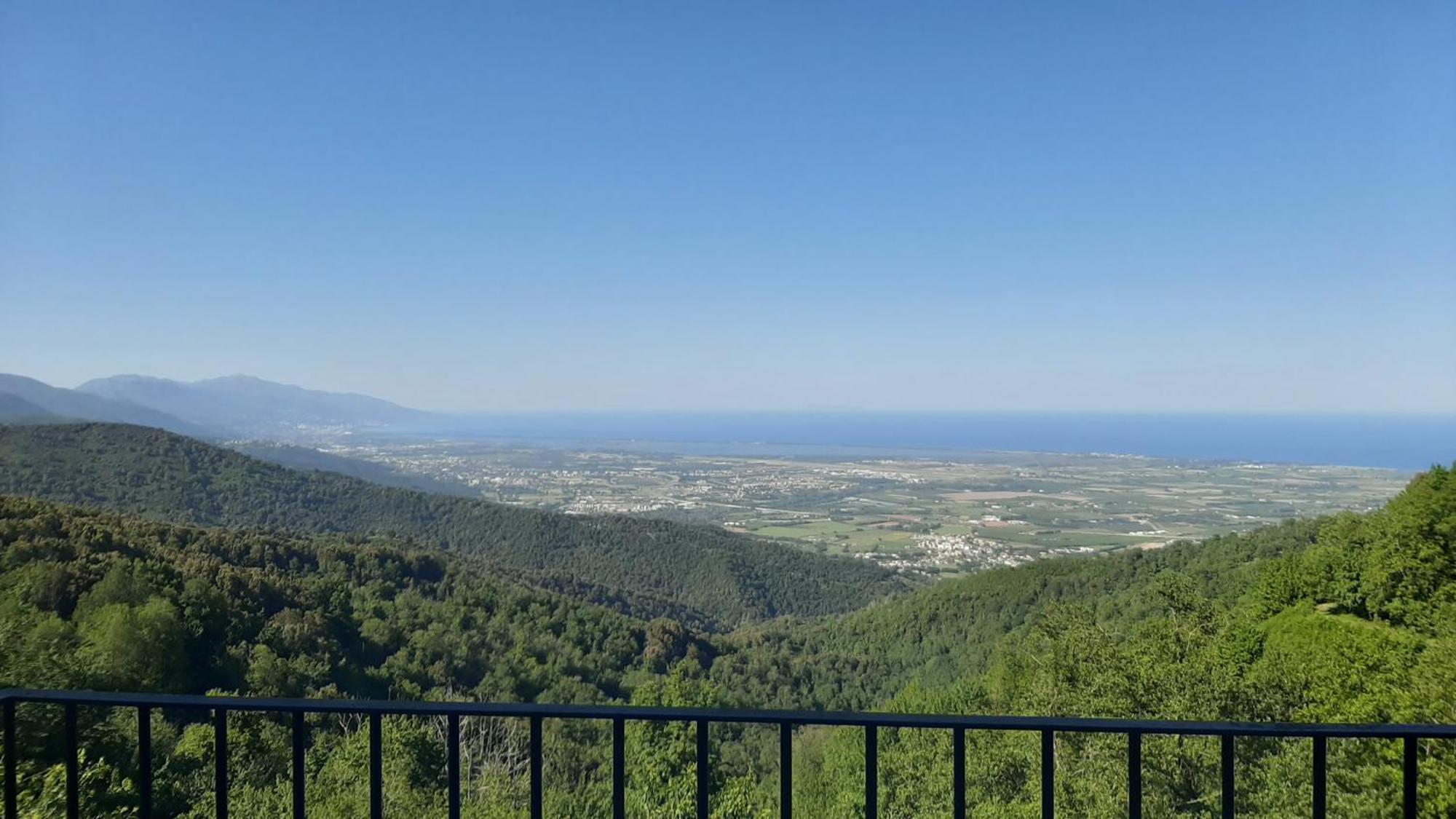 Gite La Fontaine Corse Loreto-di-Casinca Oda fotoğraf