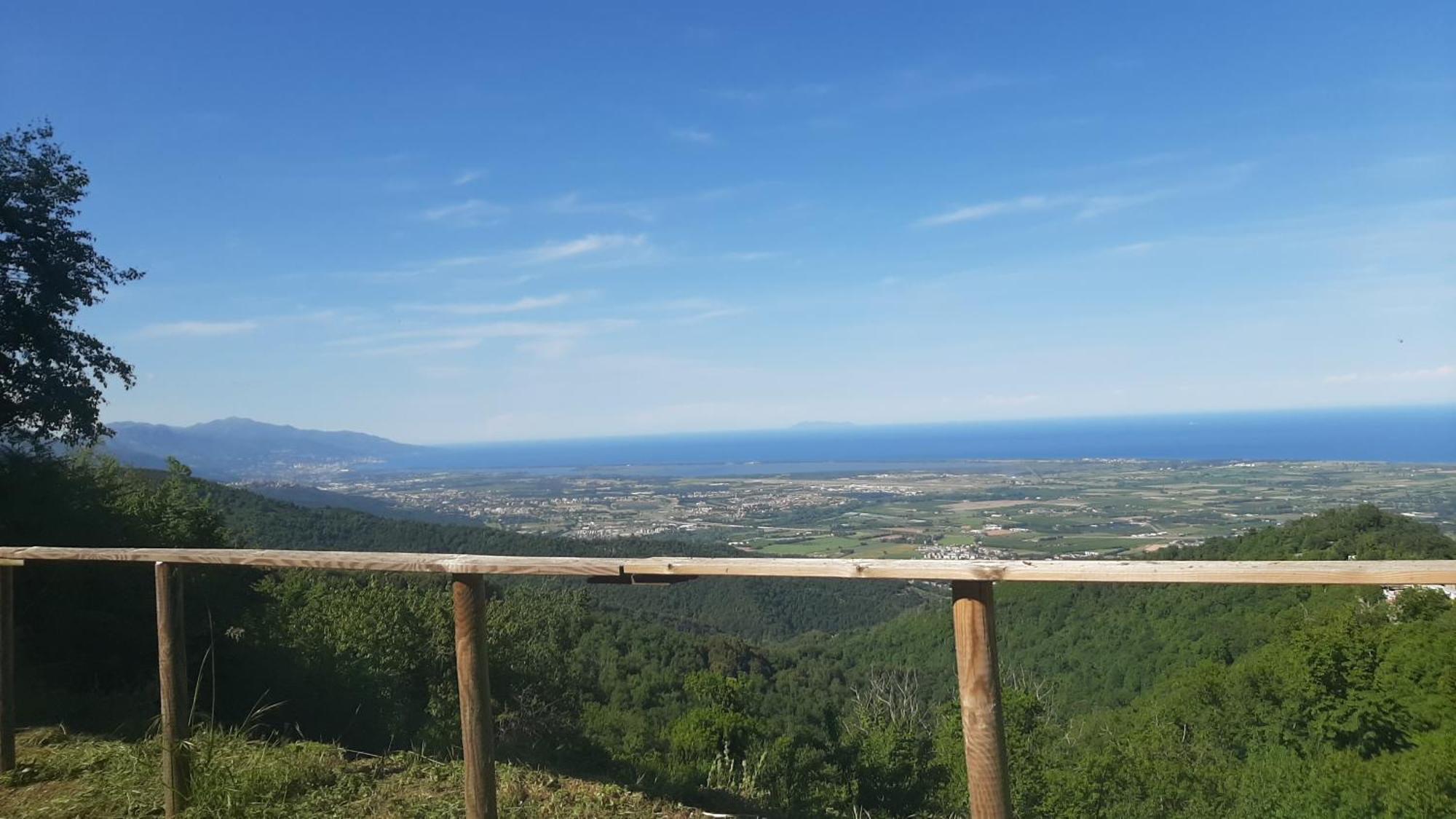 Gite La Fontaine Corse Loreto-di-Casinca Oda fotoğraf