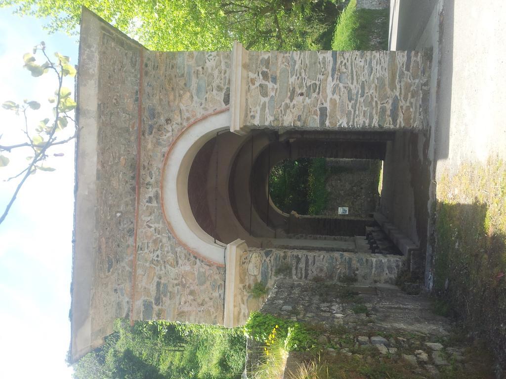 Gite La Fontaine Corse Loreto-di-Casinca Oda fotoğraf
