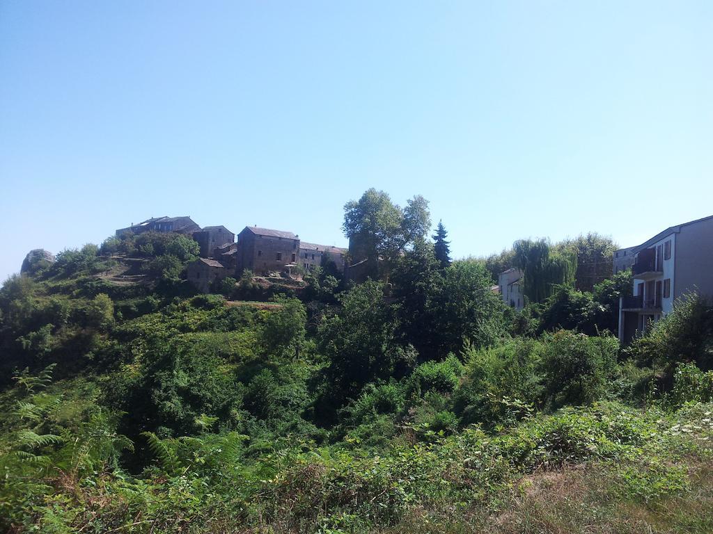 Gite La Fontaine Corse Loreto-di-Casinca Oda fotoğraf