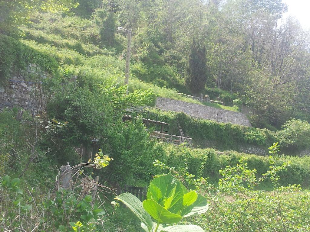 Gite La Fontaine Corse Loreto-di-Casinca Oda fotoğraf