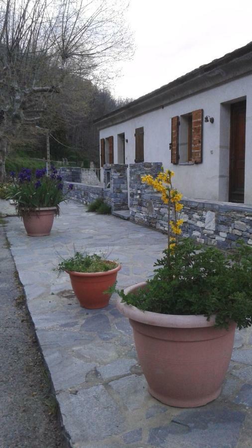 Gite La Fontaine Corse Loreto-di-Casinca Dış mekan fotoğraf