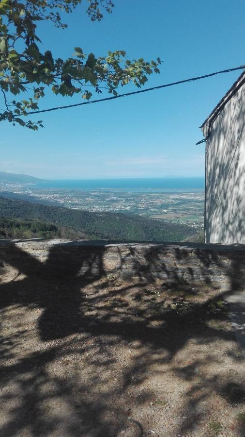 Gite La Fontaine Corse Loreto-di-Casinca Dış mekan fotoğraf